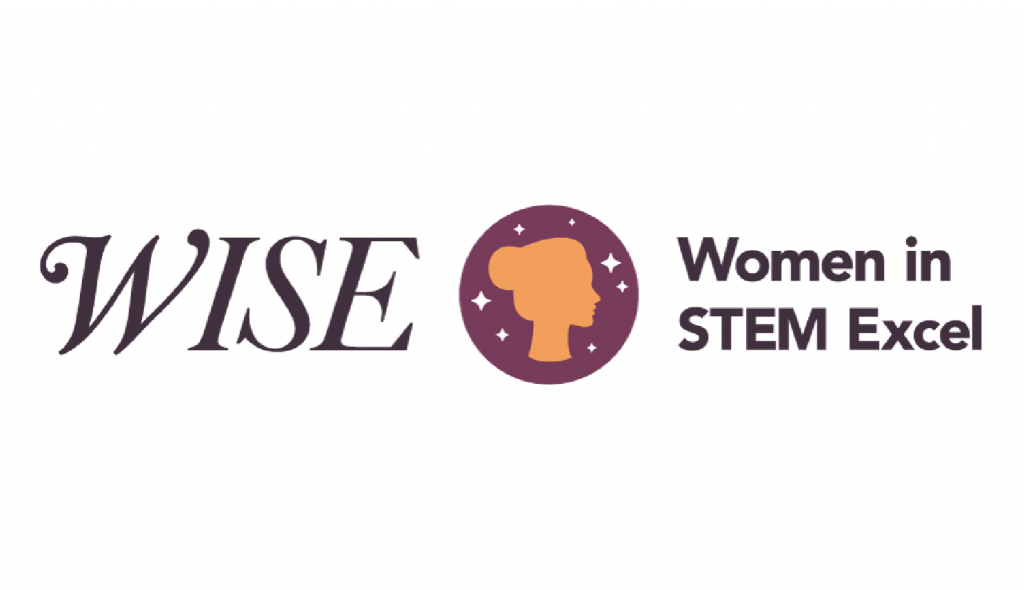 Sobel WISE Logo Scholarship Winner 2020