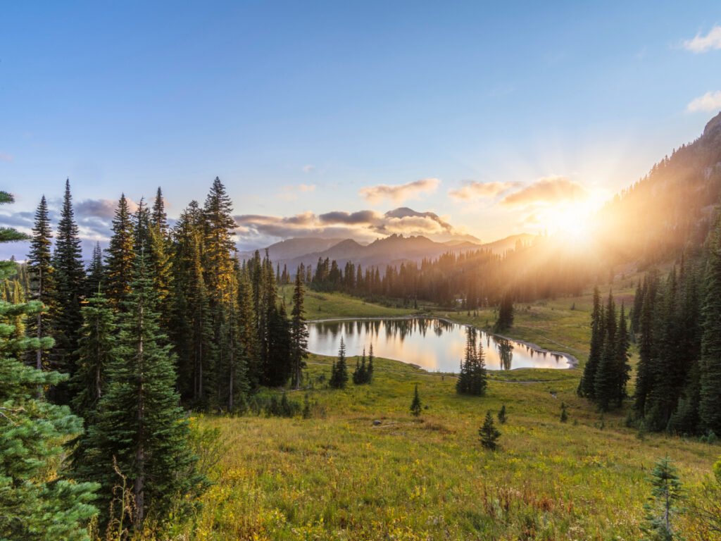 This Summer, Let’s Appreciate Our Washington National Parks